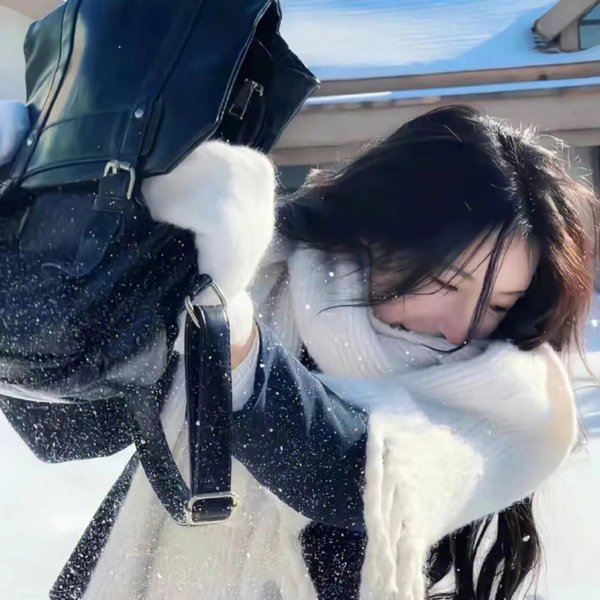 淑女宠爱
